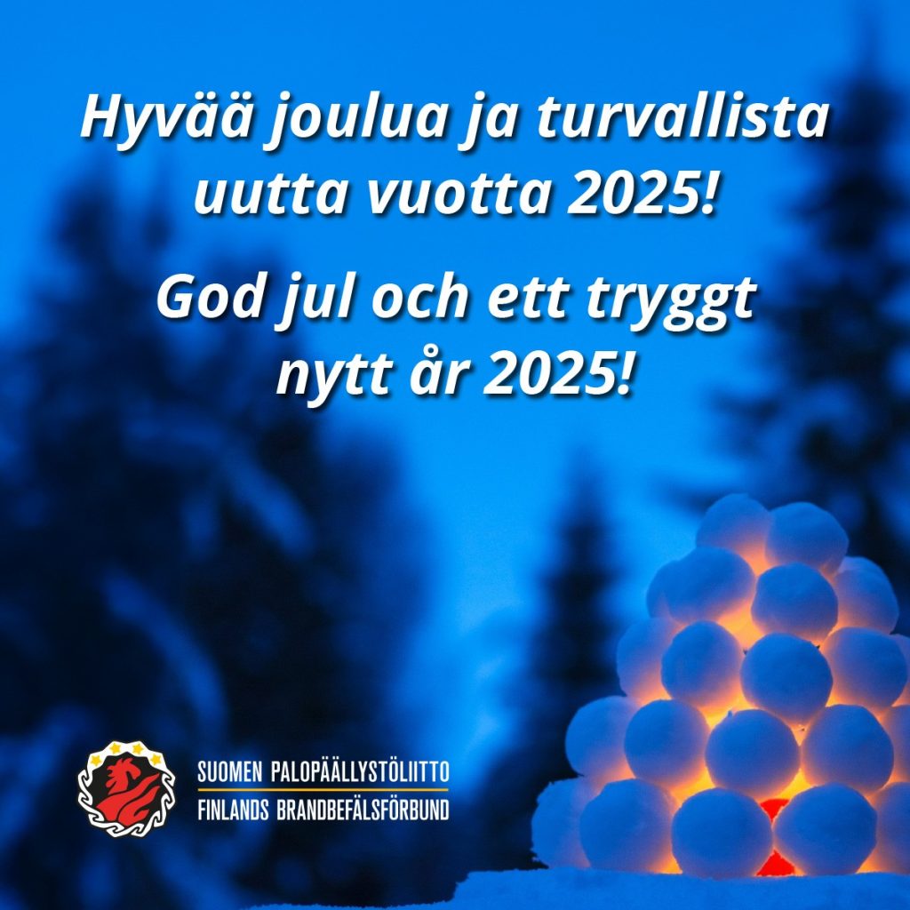 Hyvää joulua ja turvallista uutta vuotta 2025!